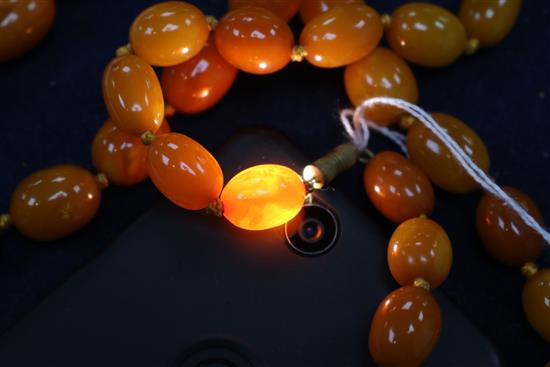 A single strand graduated oval amber bead necklace, gross weight 53 grams, approx. 62cm.